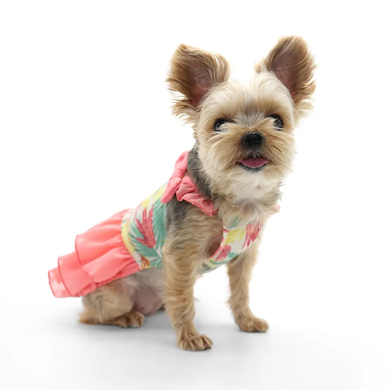 Autumn Leaves Dog Dress