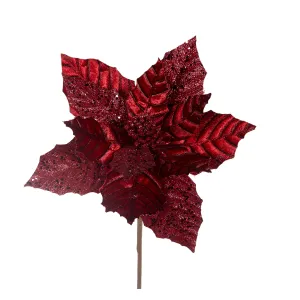 Burgundy Poinsettia