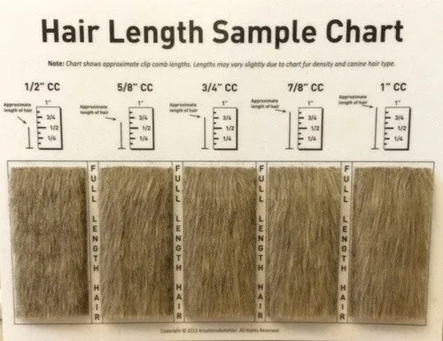 Hair length Chart