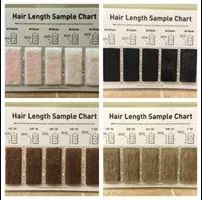 Hair length Chart