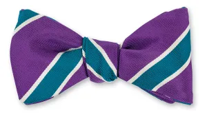 Purple/Teal Crescent Stripes Bow Tie - B5550